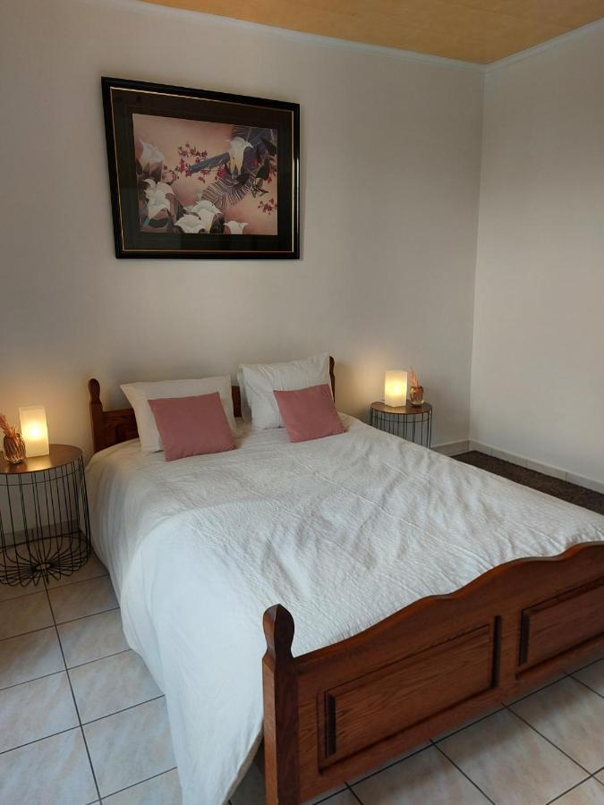 Appartement Rdc Plein Centre Avec Terrasse Vise Ngoại thất bức ảnh